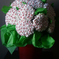 Christmas Cupcake Bouquet 