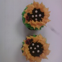 Sunflower Cupcakes Some cute cupcakes I did for a project.