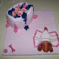 Bath Time! Naughty puppy, hiding from having a bath!