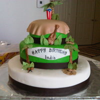 Indio's Birthday I loved baking and decorating this cake.....