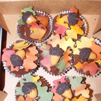 Fall Cupcakes These were for a group of preschoolers who were learning about Autumn. I think their teachers were more excited about eating acorns and...