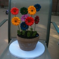 Flower Pot Cake My mom's flower pot represent her 9 blessings God gave her to raise for him...
