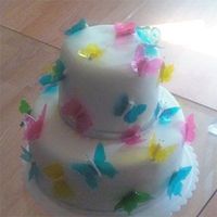 Color Butterflies I finally was able to do the gelatin butterflies. I love them. This cake was for a 8 year old birthday.