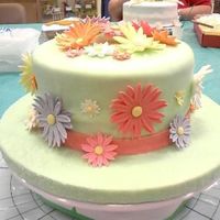 Wilton Course 4 Final Cake This was just a French Vanilla cake with buttercream covered in lite green fondant. The daisies were self taught cause I had to miss a...