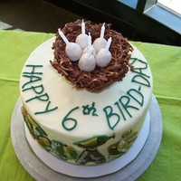 Chas' 6Th Bird-Day Cake My little boy LOVES birds and requested his birthday party be at the Trinity River Audubon Center. A local artist made his invitation and I...