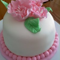 Fondant & Gumpaste Final Now I just need to learn how to cover a cake, and make it NOT look like a marshmellow! Hopefully my neighbors won't mind - butter/...