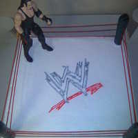 Wwe Wrestling Ring Wrestling ring and logo all in buttercream, posts are fondant covered dowels and rope is painted spaghetti! Guy is a plastic figure.. my...