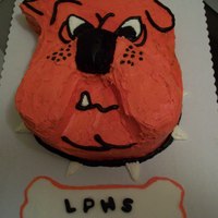 School Mascot Hand carved school mascot cake for nephew's orchestra event.