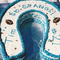 Mustang Football Cake 
