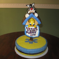 Sylvester And Tweety cake topper bird house made of rkt, sylvester and tweety make of 50/50. Bird house can also be made of cake