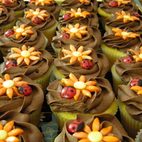 Orange Flower Ladybugs chocolate buttercream, fondand flowers, M&M ladybug