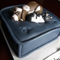 Naptime A friend wanted this cake made of her dog and cat who don't like one another. I made sure they were glaring at one another. :)