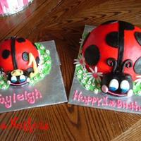 Lady Bug 