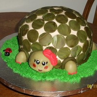 Turtle buttercream w fondant accents, tutrle cake(chocolate cake w carmel and pecan filling