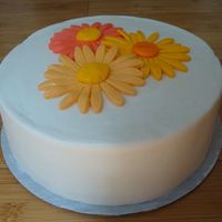 Daisies This is my first cake (no classes). It's buttercream with MMF flowers. I still need practice but not bad for a first attempt.