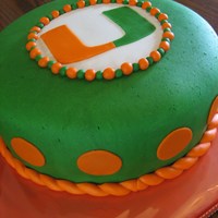 University Of Miami Cake 