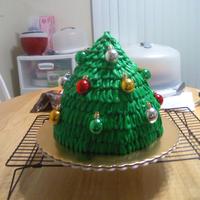 Christmas Tree my 2nd attempt at a christmas tree.