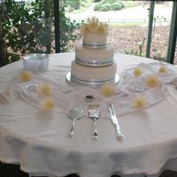 Wedding Cake This is me and my sister's first wedding cake and only our 3rd cake we've made.