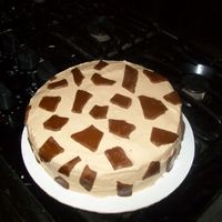 Giraffe Cake This was my second iced cake for a baby shower. It's white with tinted frosting, fondant spots. I wish I would've made the spots...