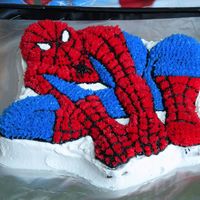 Superman This cake was for the neighbor's 5th birthday......his favorite part was eating Spidey's face !!
