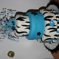 Zebra Sweet 16 