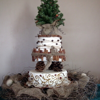 Rough And Earthy Winter Cake As the title states this is a rough and earthy winter cake, which is exactly what I wanted in an elegant way. I was inspired by, well,...