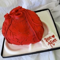 Anatomical Heart This was a Valentine's cake I made for my husband... Tried to get it as anatomically correct as possible! Carved from an 8" round...