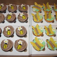 Butterfly And Ladybug Cupcakes Chocolate and WASC cupcakes with fondant ladybugs and chocolate butterflies.