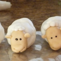 Sheep Sheep were made out of fondant. They will be eventually placed on my friend's farm birthday cake.