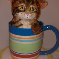 Cat Mug My first competition cake, placed 3rd in the Perth Royal Show, Australia.Mug and cat is all cake covered in fondant. Kitty is hand painted...