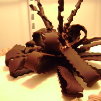 My First Loop Bow I tried to make a loop bow with curly cues. As you can see this was a disaster. I don't know why they broke and then trying to put...