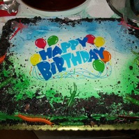 Bugs Life B-Day Cake 1/2 sheet cake with diff bugs (plastic) buttercream and food color spray. edible image and crumbled cookies for dirt