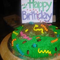 Bug Cake Bug cake for a 5th birthday - all buttercream.