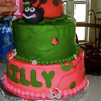 Lady Bug Birthday I used another cake from a user as an inspiration. thanks!