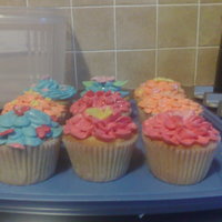 Cupcakes my first attempt at cupcakes for my daughters fundraising event