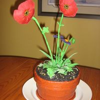 Flower Pot Cake This is my first flower pot cake. I made it for my mom's birthday. She doesn't like MM fondant so I used buttercream icing. Next...
