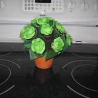 Christmas Cupcakes christmas - chocolate and white cupcakes