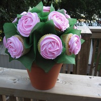 Cupcake Bouquet this is my first cupcake bouquet - made it for my Aunts birthday, they are vanilla cupcakes with buttercream icing