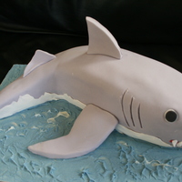 Shark Thanks to all the other Shark cakes on CC for the inspiration. I carved this from a 30cm loaf tin and a 4inch square, chocolate cake...