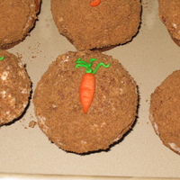 Dirt And Carrot Cupcakes I made these for my sons daycare for his first birthday party and they loved them! Carrot cupcakes with buttercream icing and crushed cocoa...