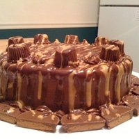 Reese's Peanut Butter Cake Consists of chocolate cake, thin layer of melted PB in the center with crushed Reese's PB cups and mixed with some chocolate...