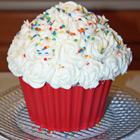 Giant Cupcake I made this photo for my best friend's son's birthday. I wanted to try a technique on the top that I had seen in a book. I really...