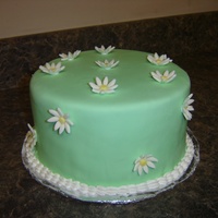 Daisy Cake four layer chocolate and yellow cake with chocolate bc.