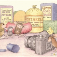 Gallery7079801272036838Jpeg t