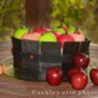 Apple Cake cake covered in fondant "boards", apples are made of rice krispie treats.