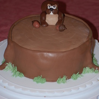 Steve The Squirrel Squirrel and nuts are handmade with chocolate fondant & gumpaste. Tree stump cake is butterpecan with chocolate buttercream covered in...