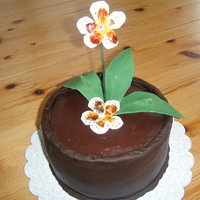 1St Wed. Anniv. Cake i made ths cake for our 1st wedding anniversary ...but the decoration is not done..lol..ita a Black forest cake...hubby loves black forest...