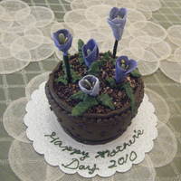 Mother's Day Cake First time to make a Flower Pot Cake for Mother's Day. Its a vanilla cake with rasp. filling covered with dark chocolate buttercreme...