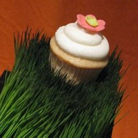 Fun Flower Cupcake 