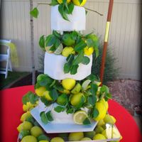 Lemon & Lime Hexagon 